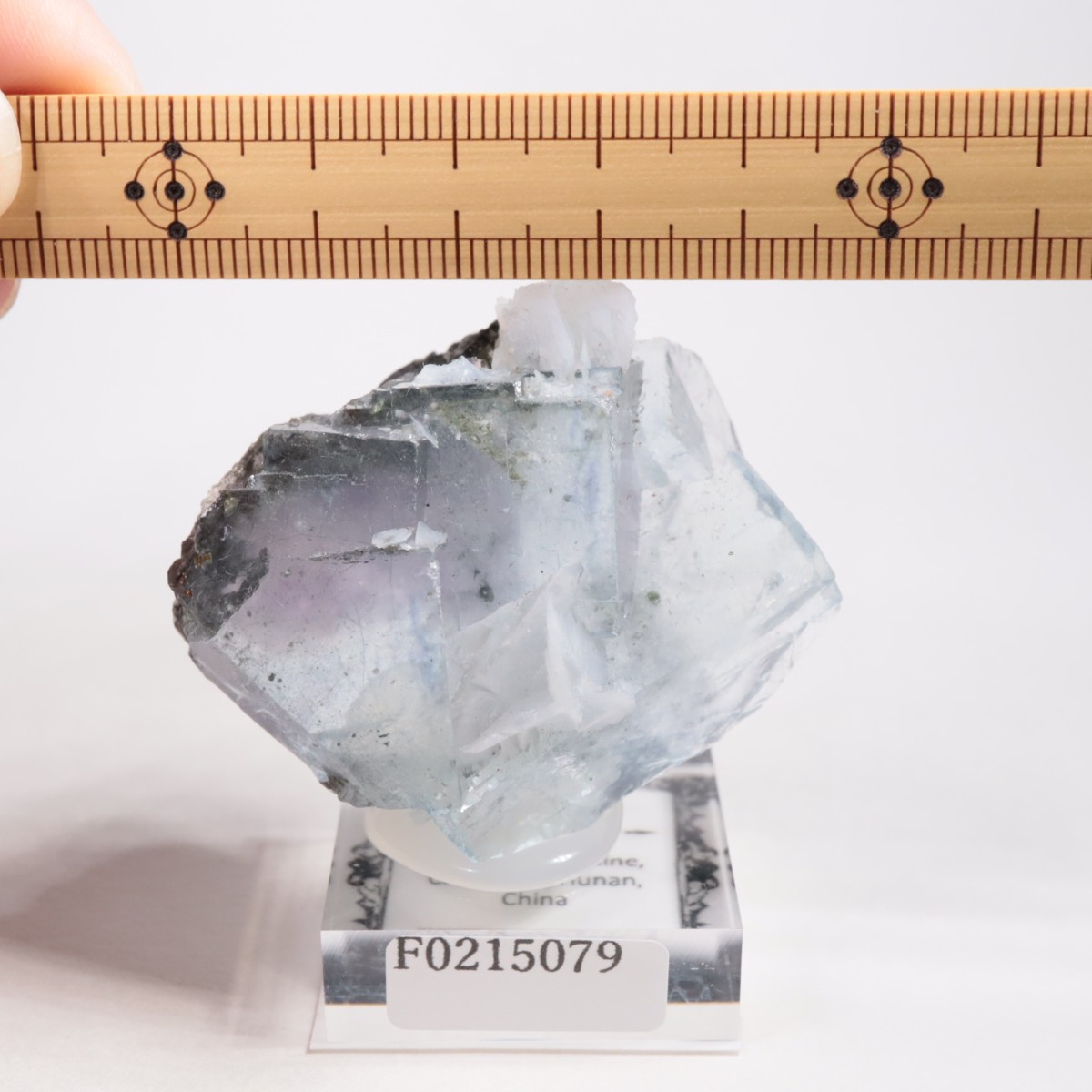 �䥪���󥷥��ۻ��� �ե����饤��