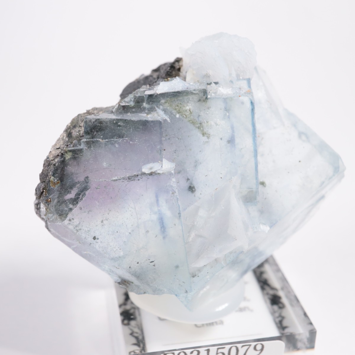 �䥪���󥷥��ۻ��� �ե����饤��