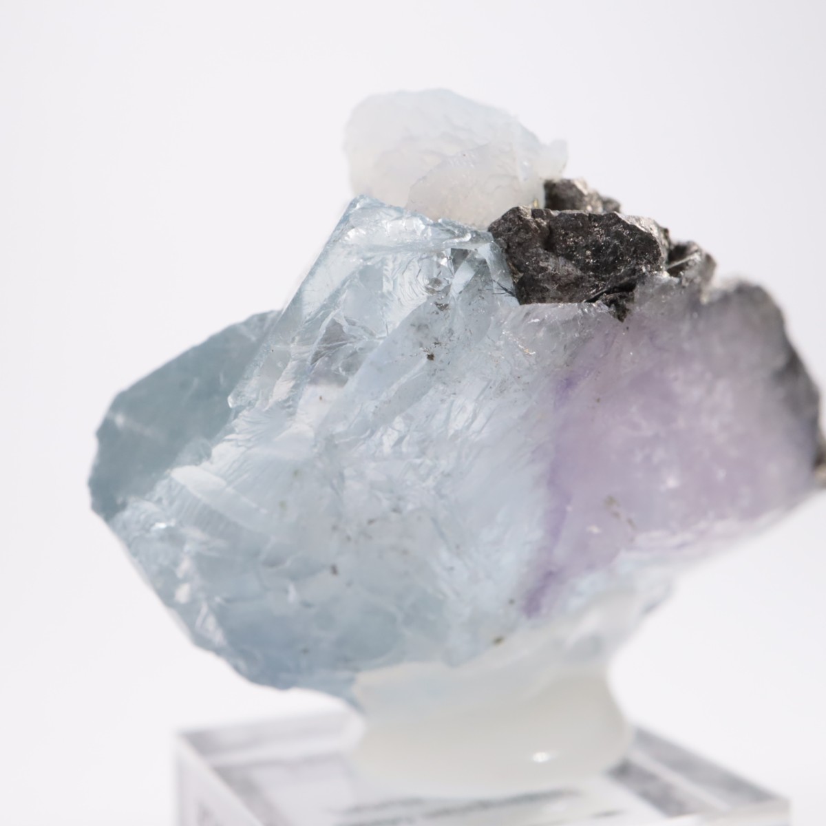 �䥪���󥷥��ۻ��� �ե����饤��