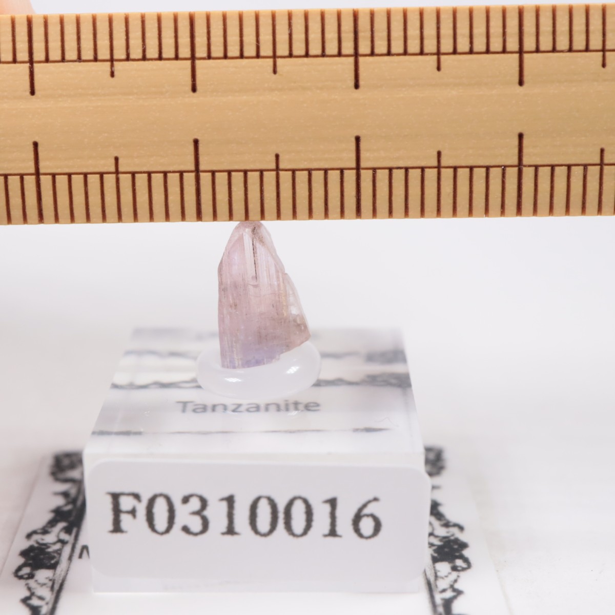 メレラニヒルズ産 タンザナイト | 鉱物標本,タ行,タンザナイト