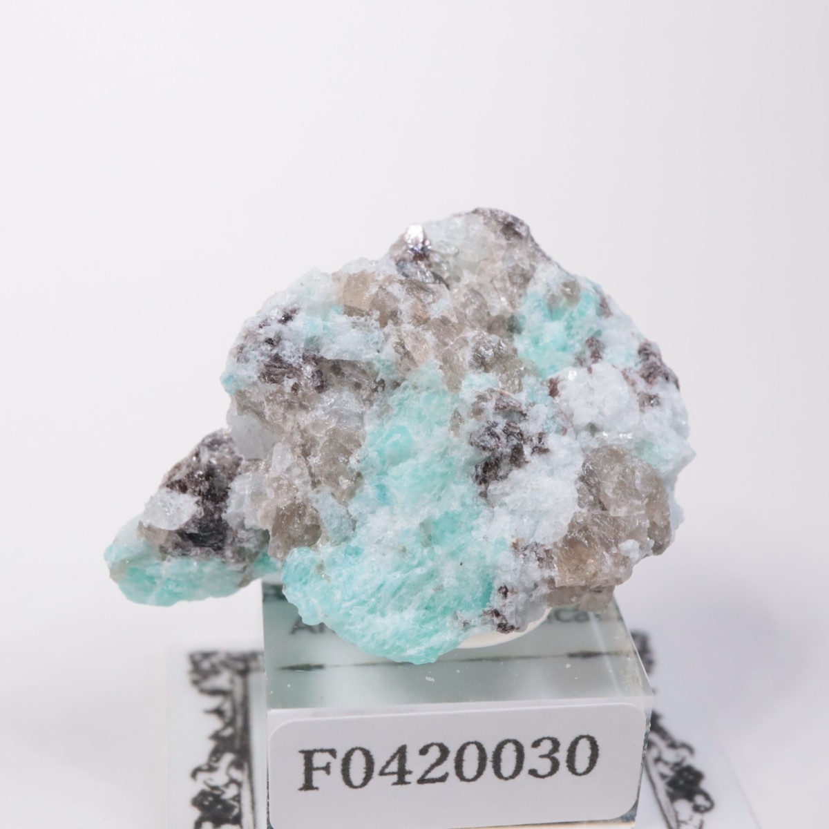 �ޥ��������뻺 ���ޥ��ʥ��ȡ�����