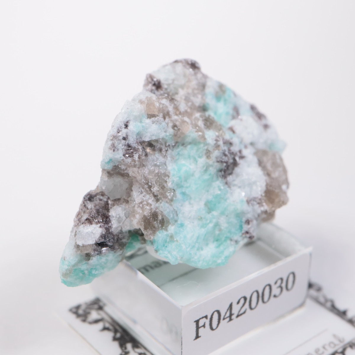 �ޥ��������뻺 ���ޥ��ʥ��ȡ�����