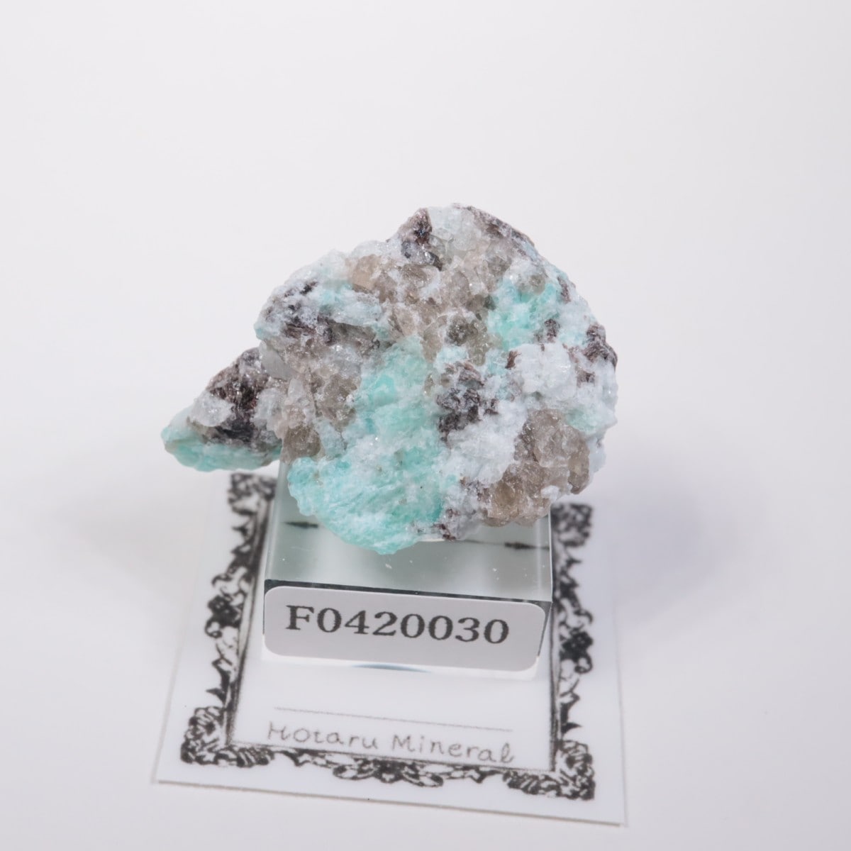 �ޥ��������뻺 ���ޥ��ʥ��ȡ�����