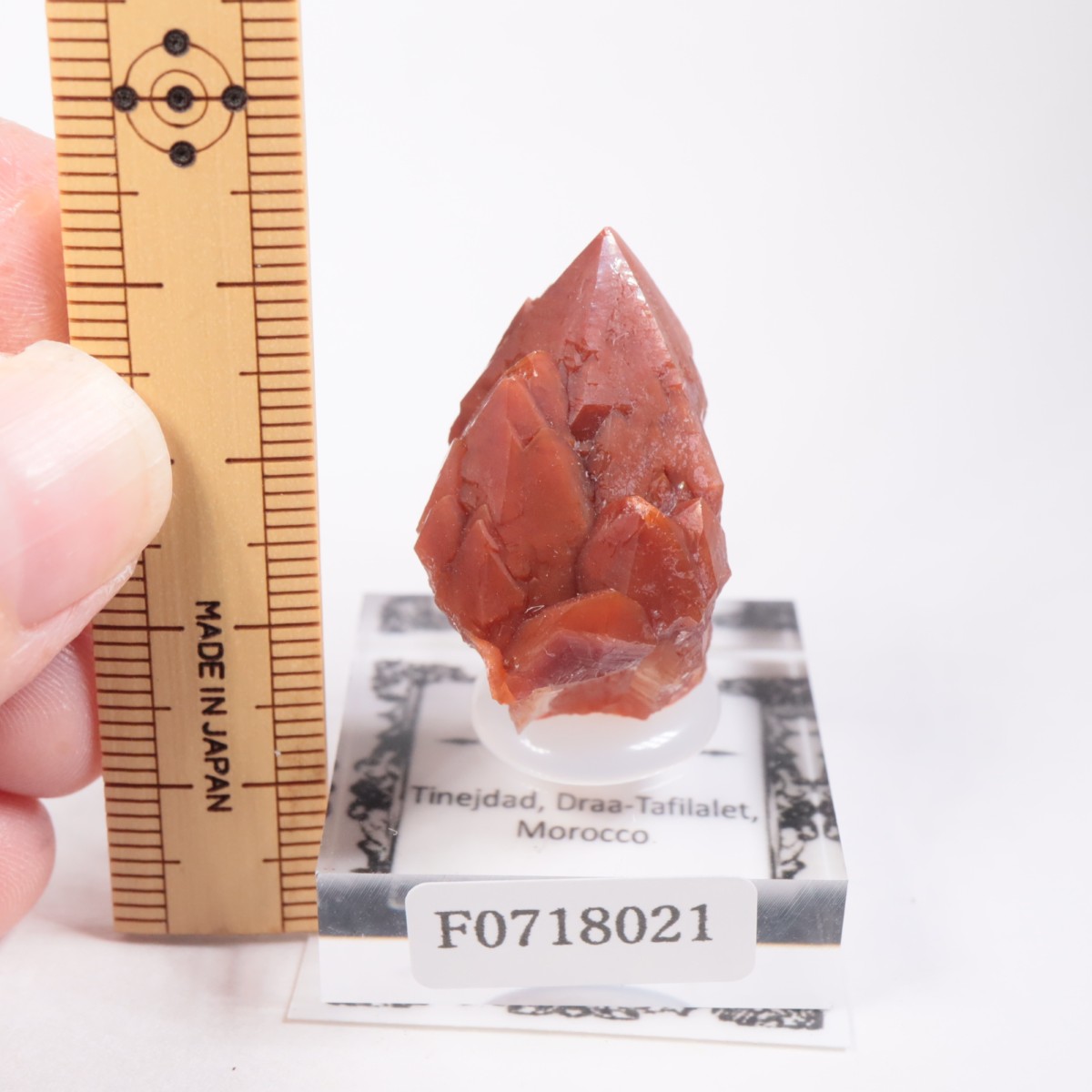 ����å�������åɥ�������