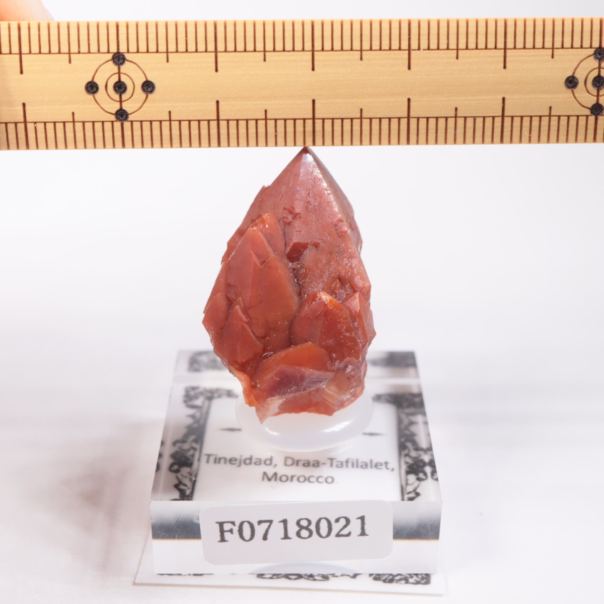 ����å�������åɥ�������