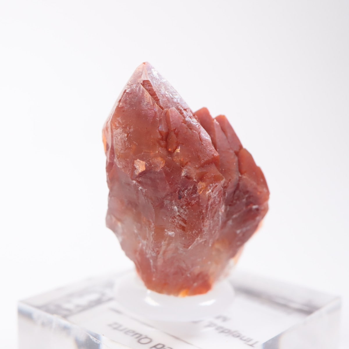 ����å�������åɥ�������