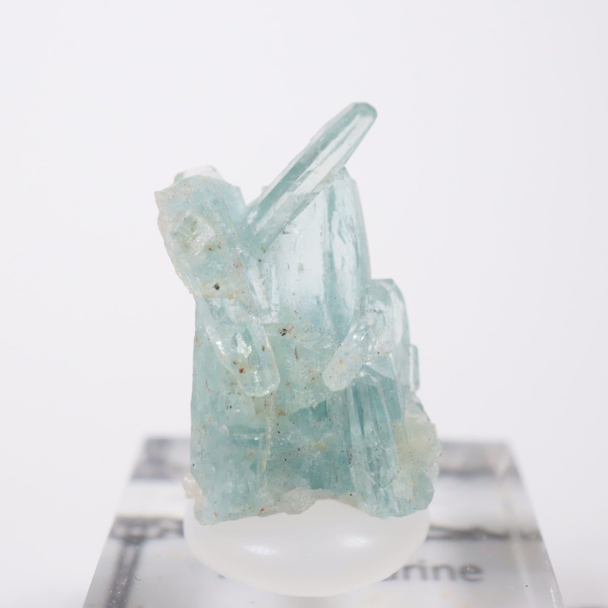 �֥饸�뻺 �������ޥ��