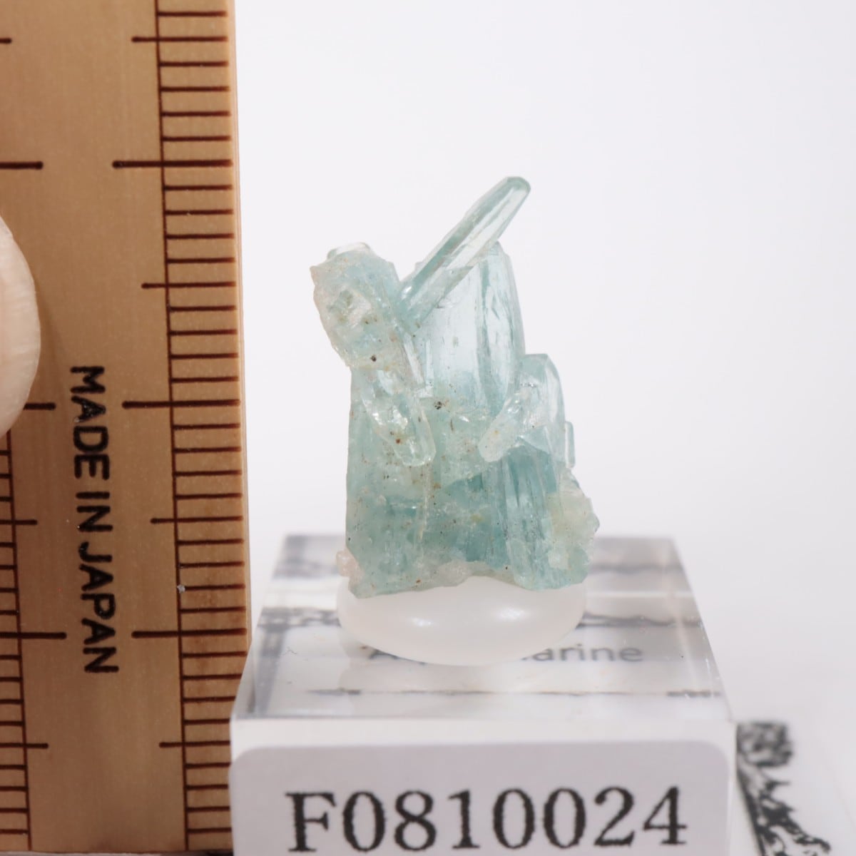 �֥饸�뻺 �������ޥ��