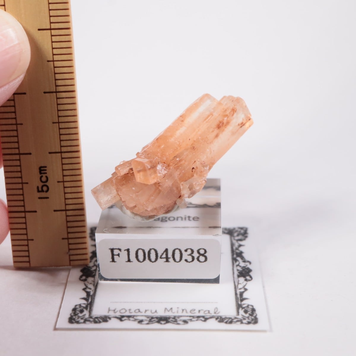 モロッコ産 アラゴナイト | 鉱物標本,ア行,アラゴナイト/霰石 | ほたる
