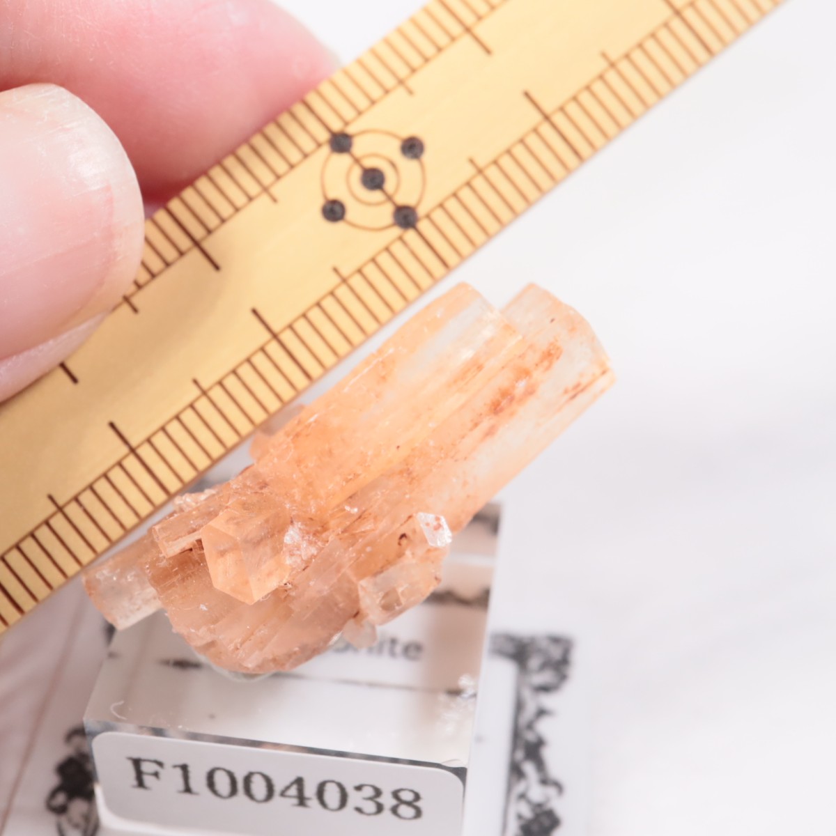 ����å��� ���饴�ʥ���