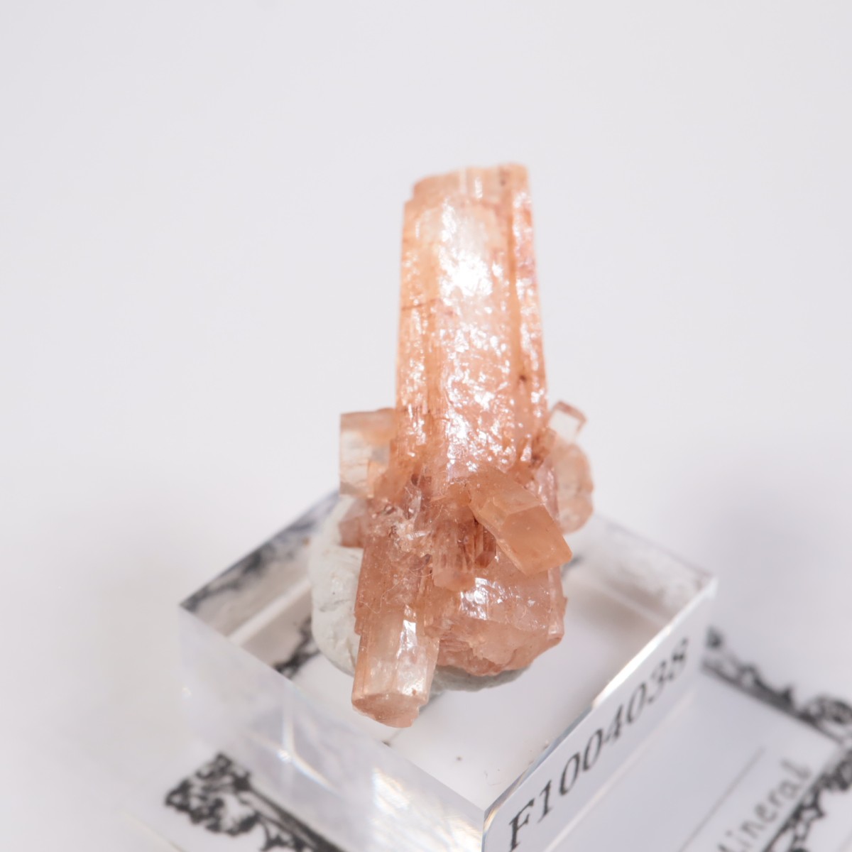 ����å��� ���饴�ʥ���