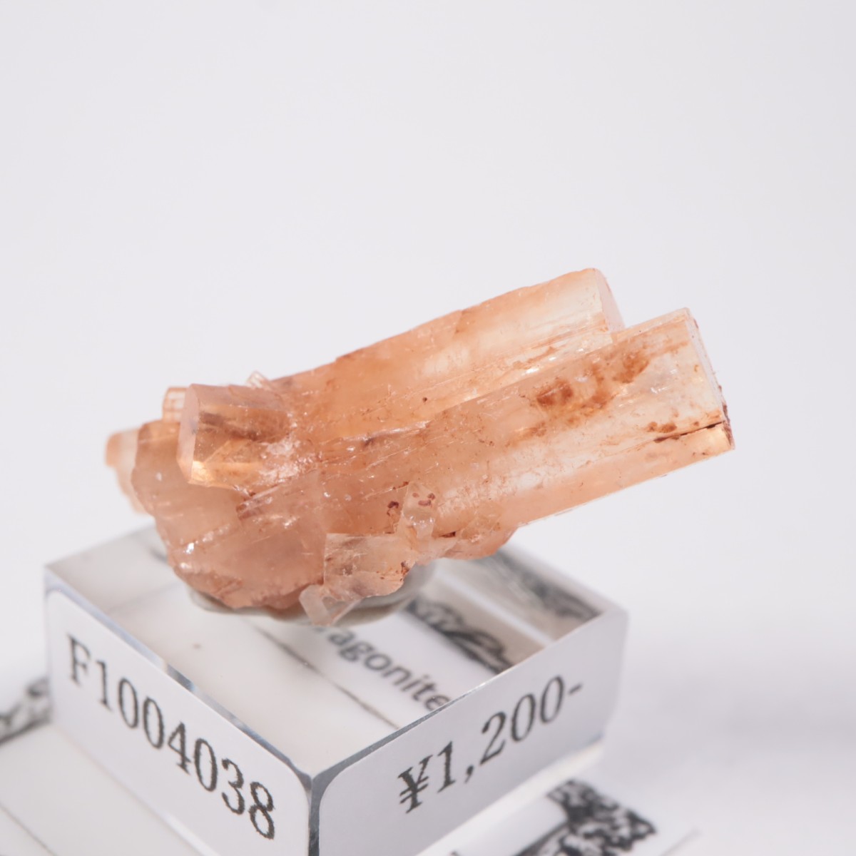 ����å��� ���饴�ʥ���