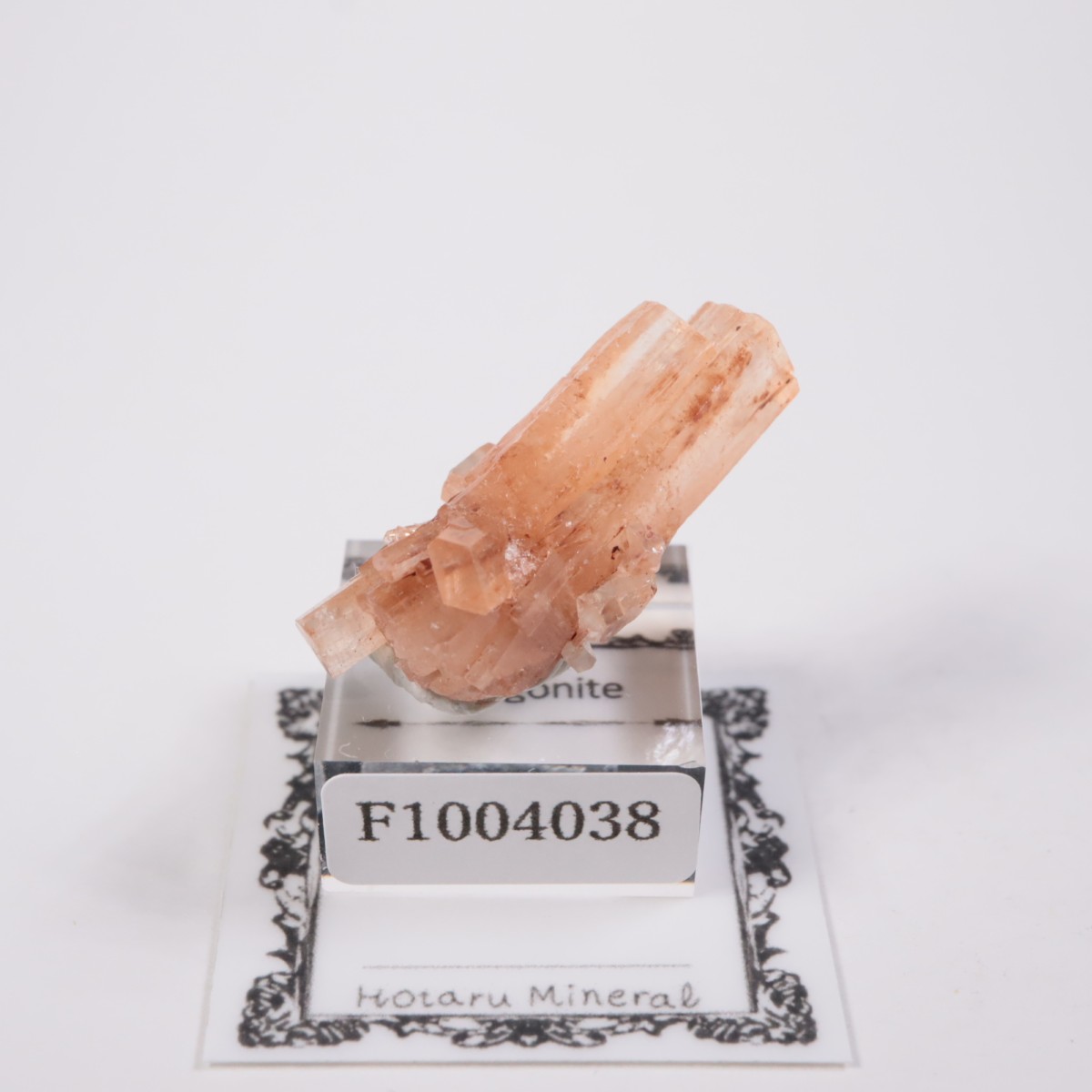 ����å��� ���饴�ʥ���