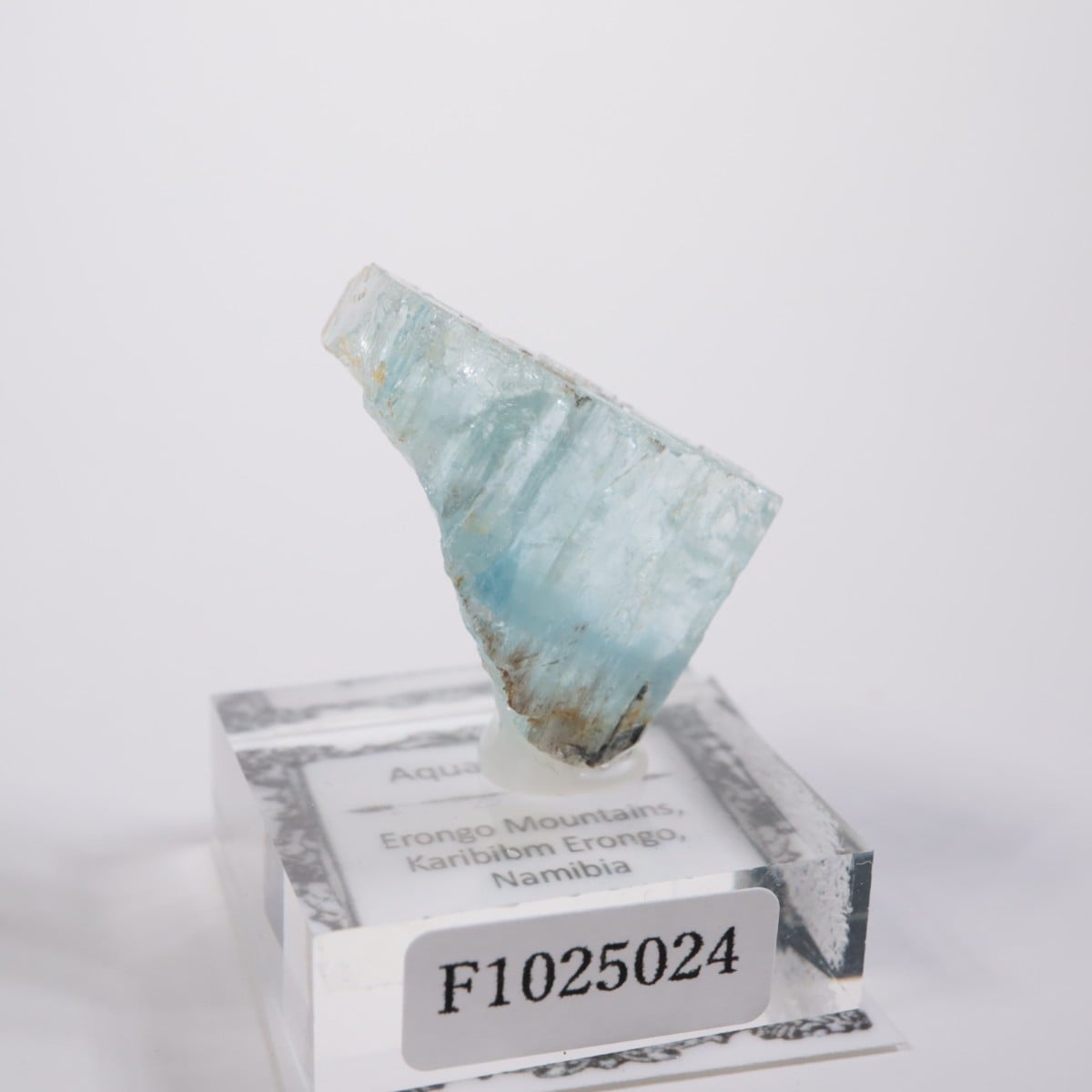 �����󥴹ۻ� �������ޥ��