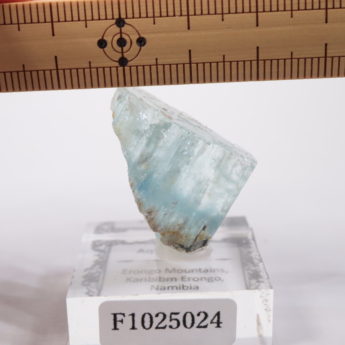 �����󥴹ۻ� �������ޥ��