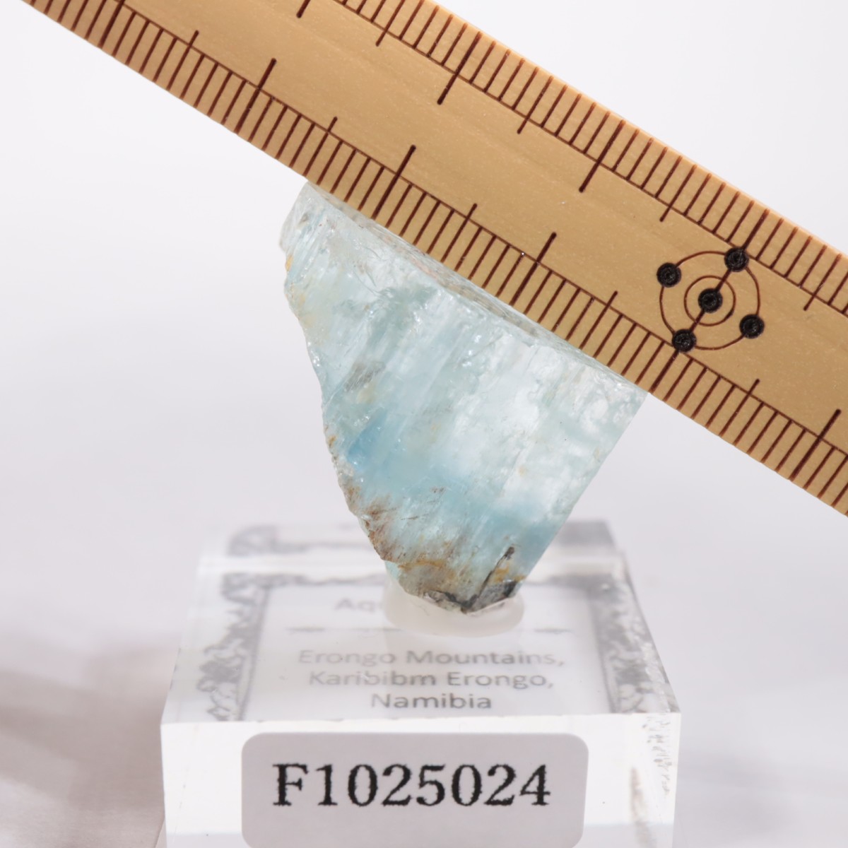 �����󥴹ۻ� �������ޥ��