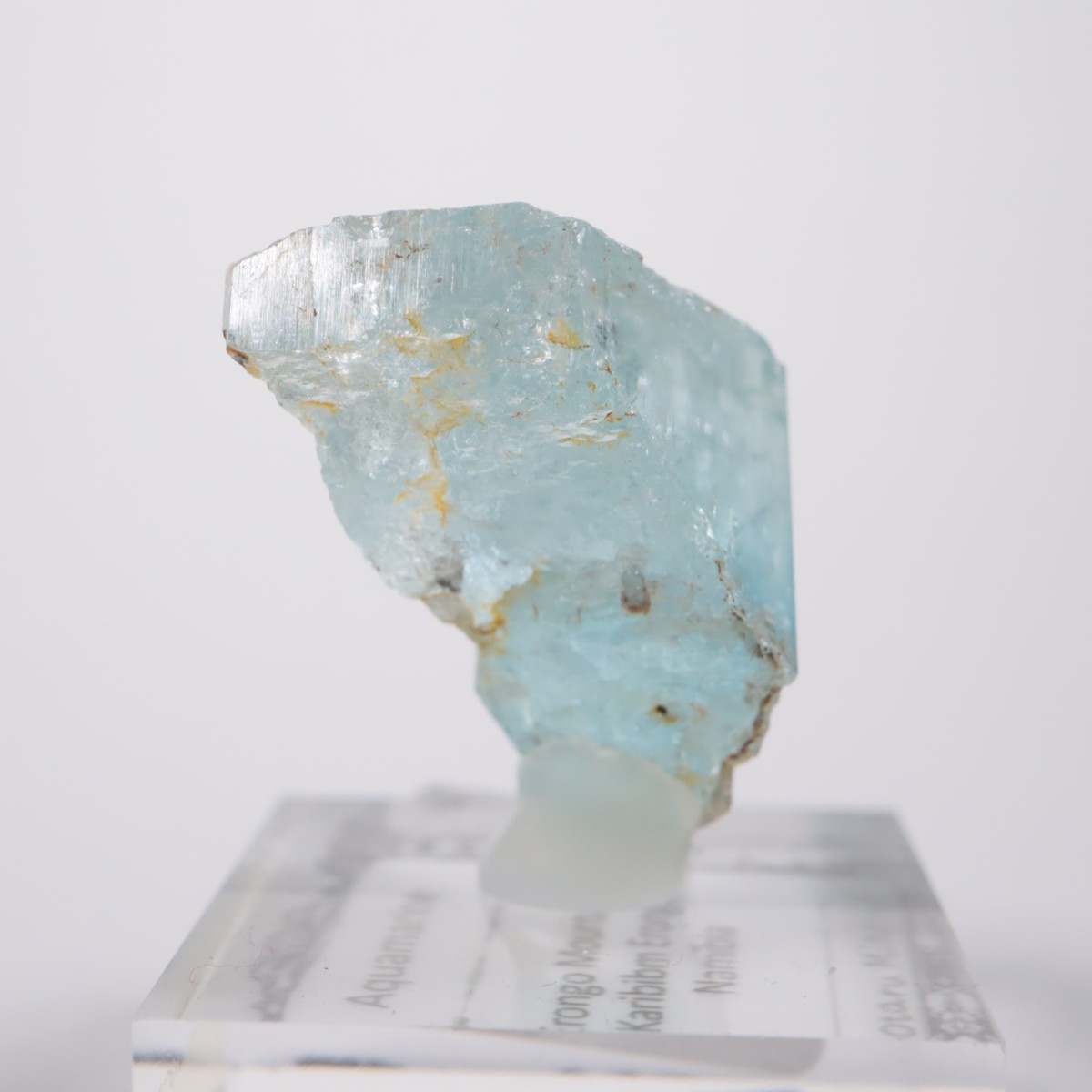 �����󥴹ۻ� �������ޥ��