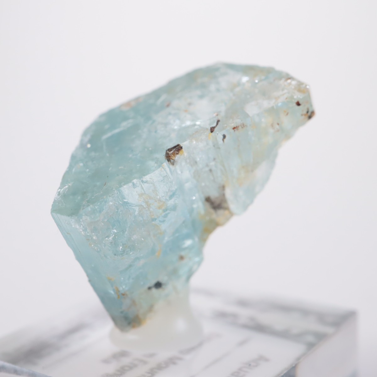 �����󥴹ۻ� �������ޥ��