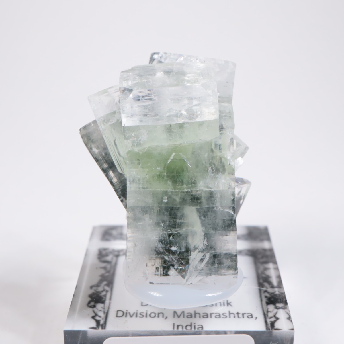 ����ɻ� ���ݥե��饤��