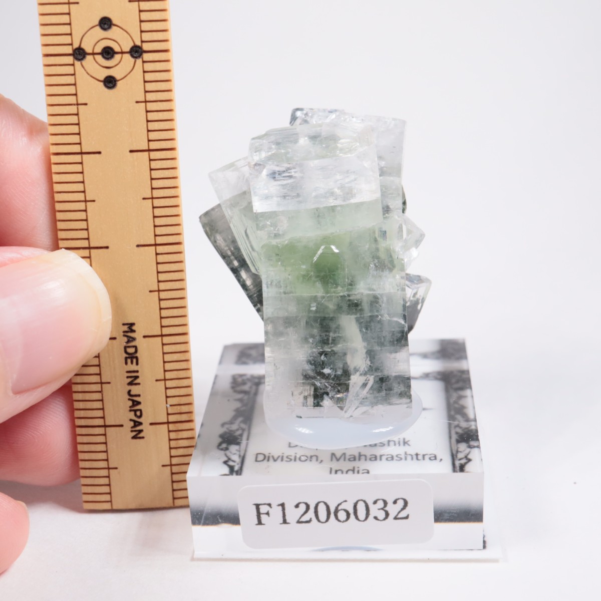 ����ɻ� ���ݥե��饤��