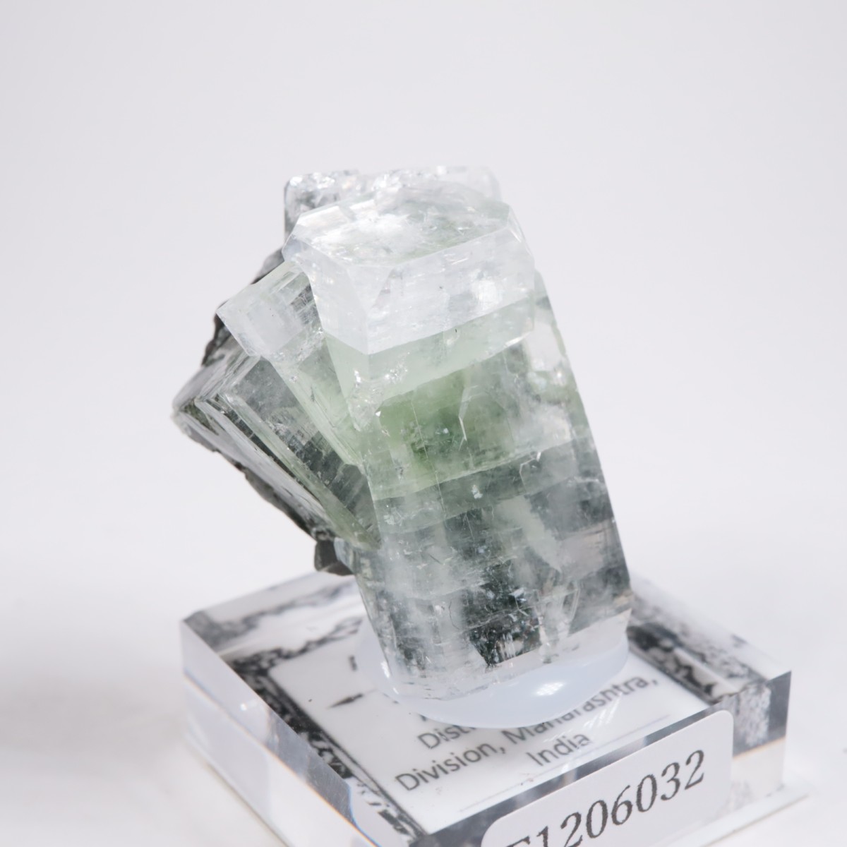 ����ɻ� ���ݥե��饤��