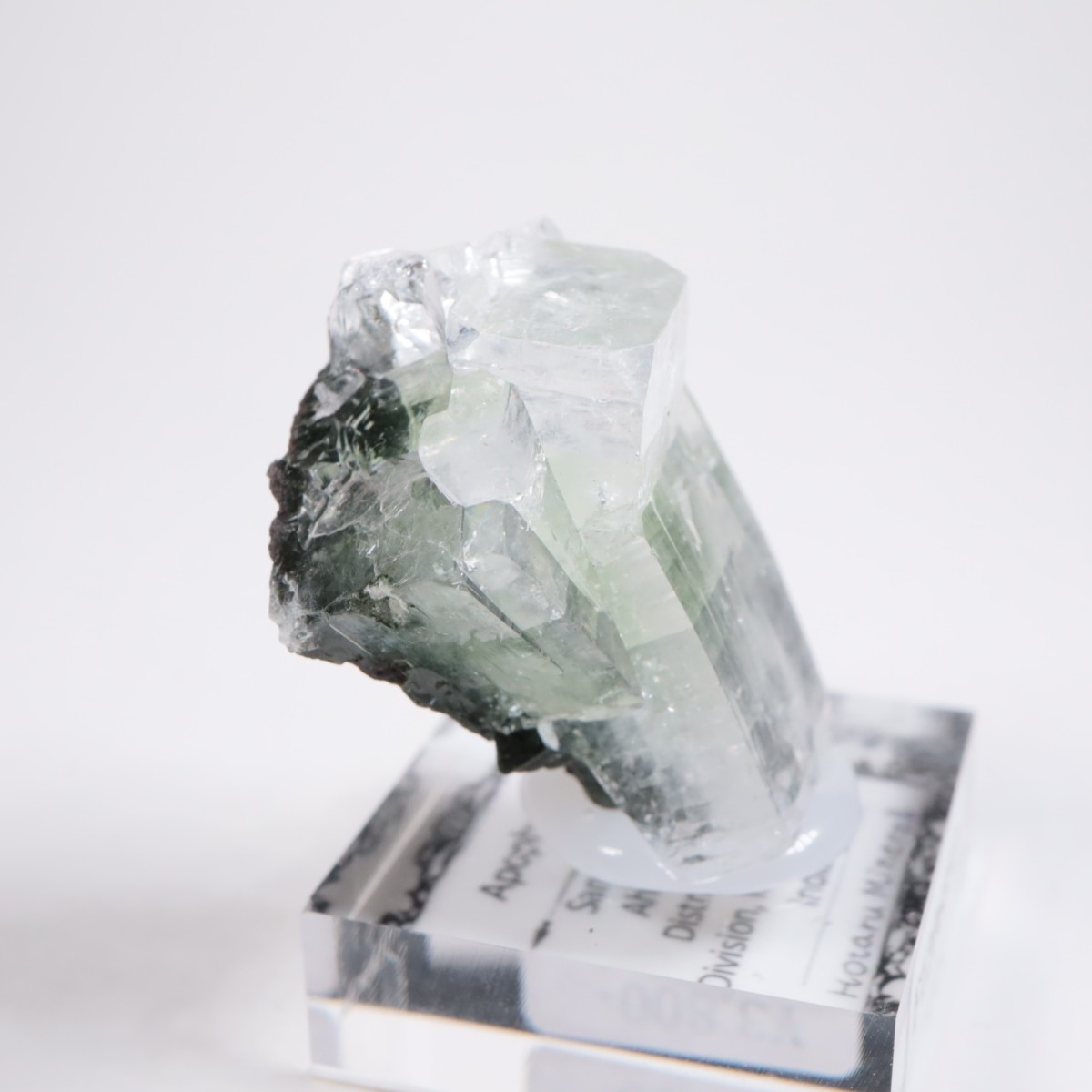 ����ɻ� ���ݥե��饤��