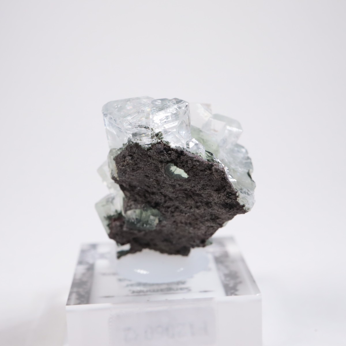 ����ɻ� ���ݥե��饤��