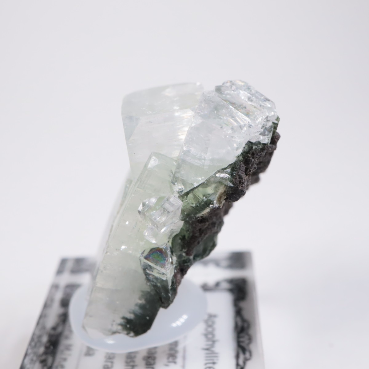 ����ɻ� ���ݥե��饤��