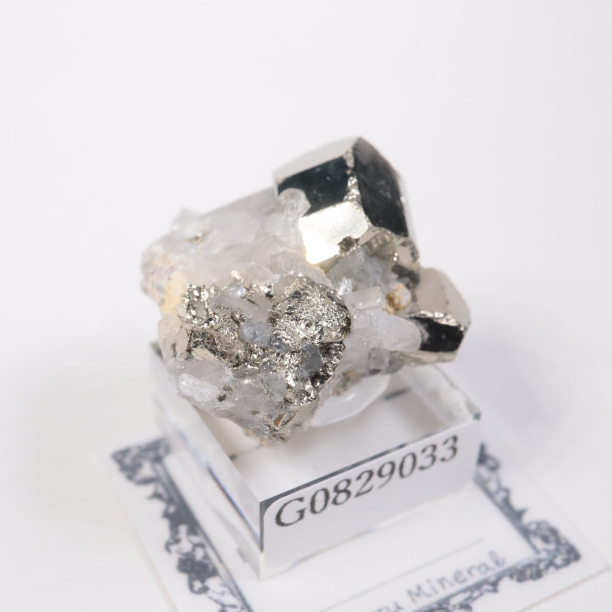 ����ɥͥ����� �ѥ��饤��