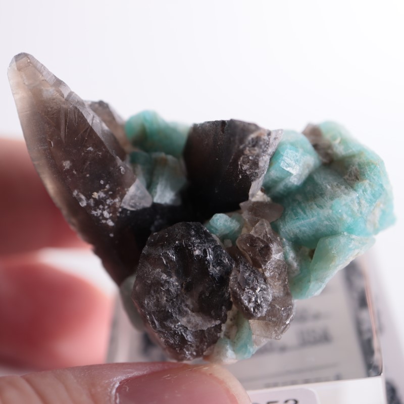 コロラド州 アマゾナイト、煙水晶 | 鉱物標本,カ行,クォーツ