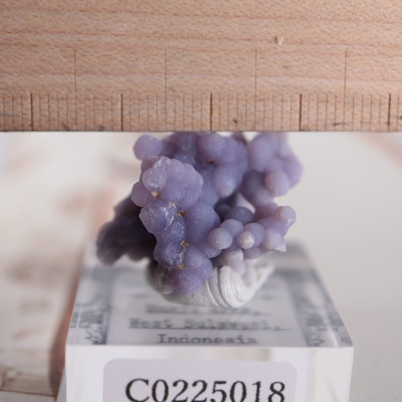 グレープクォーツ（グレープカルセドニー） | 鉱物標本,カ行