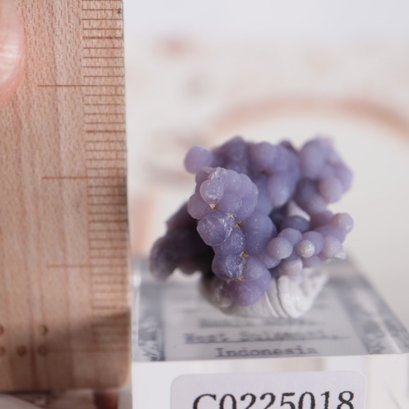 グレープクォーツ（グレープカルセドニー） | 鉱物標本,カ行