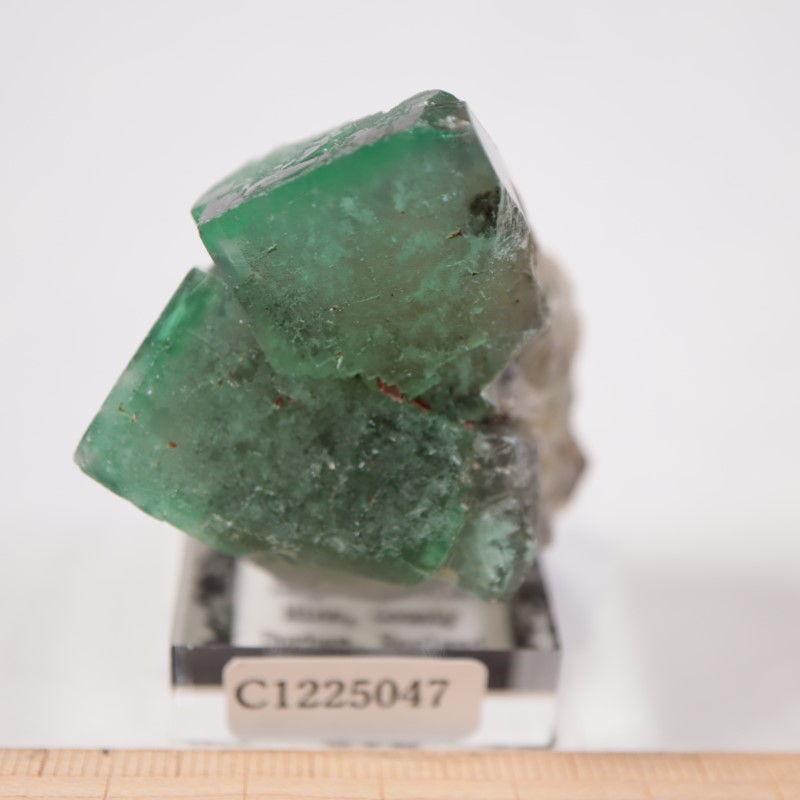 The Bull Vein フローライト | 鉱物標本,ハ行,フローライト/蛍石