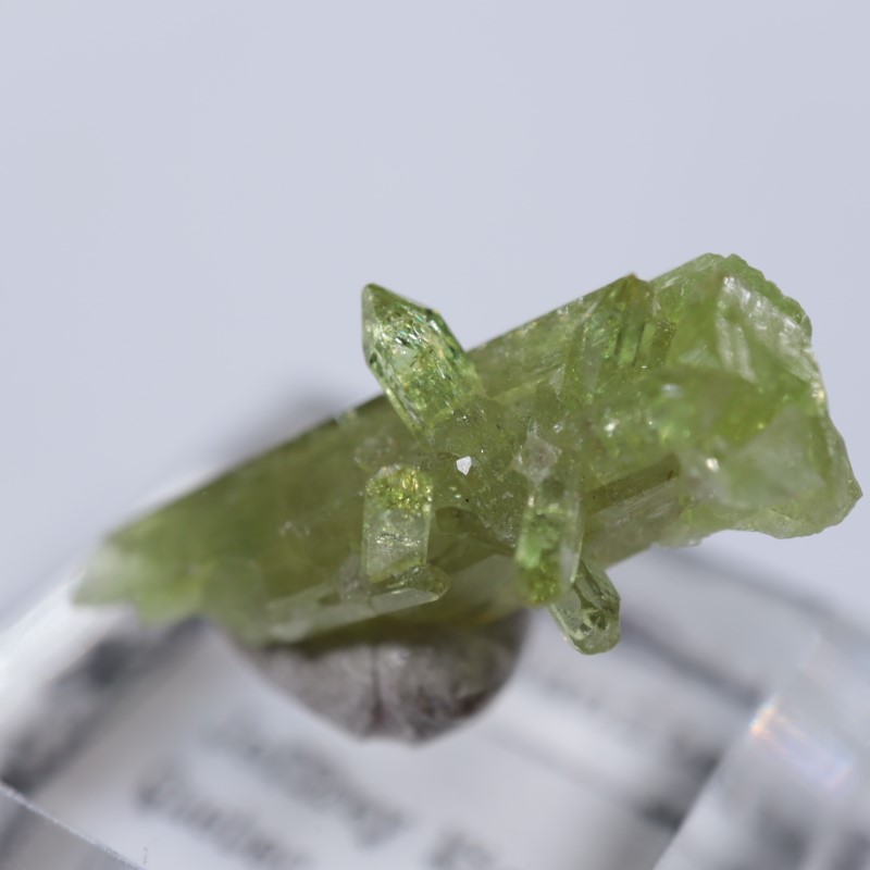 �����ե꡼�ۻ����٥�����