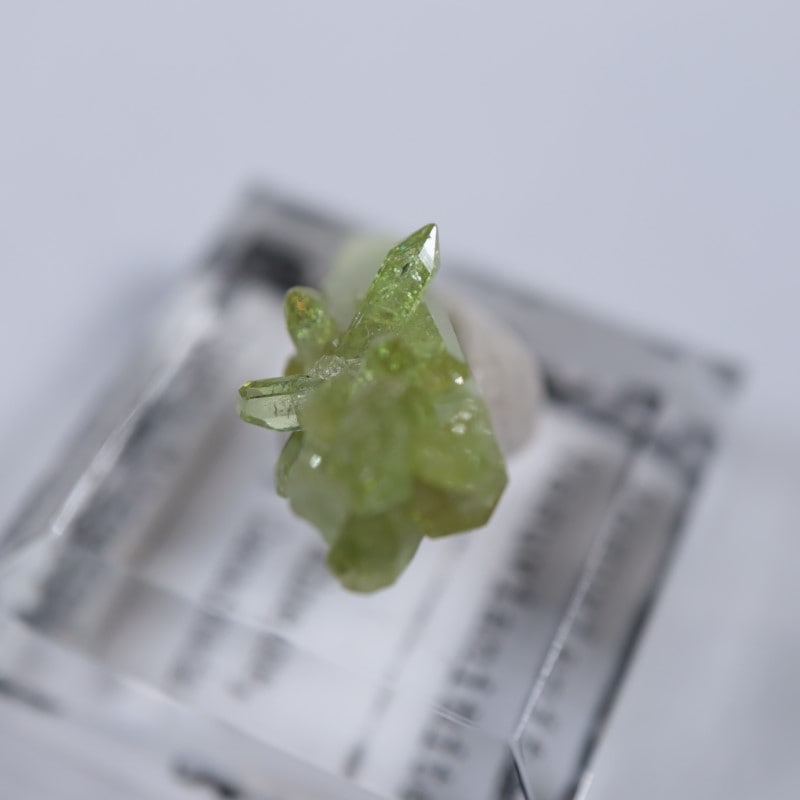 �����ե꡼�ۻ����٥�����