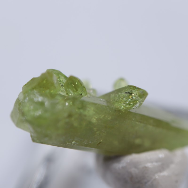 �����ե꡼�ۻ����٥�����