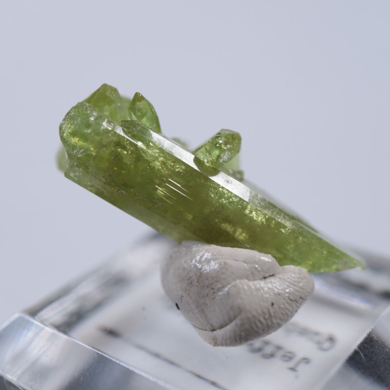 �����ե꡼�ۻ����٥�����