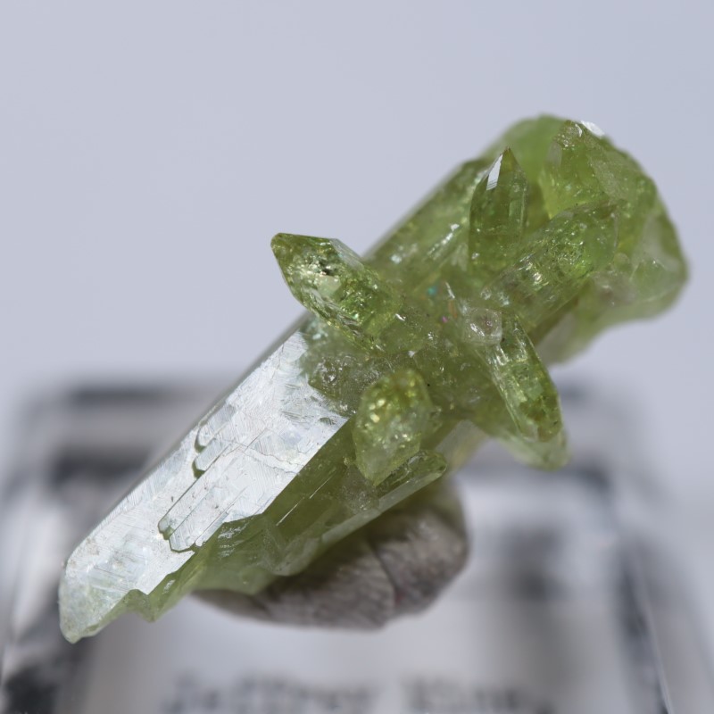 �����ե꡼�ۻ����٥�����