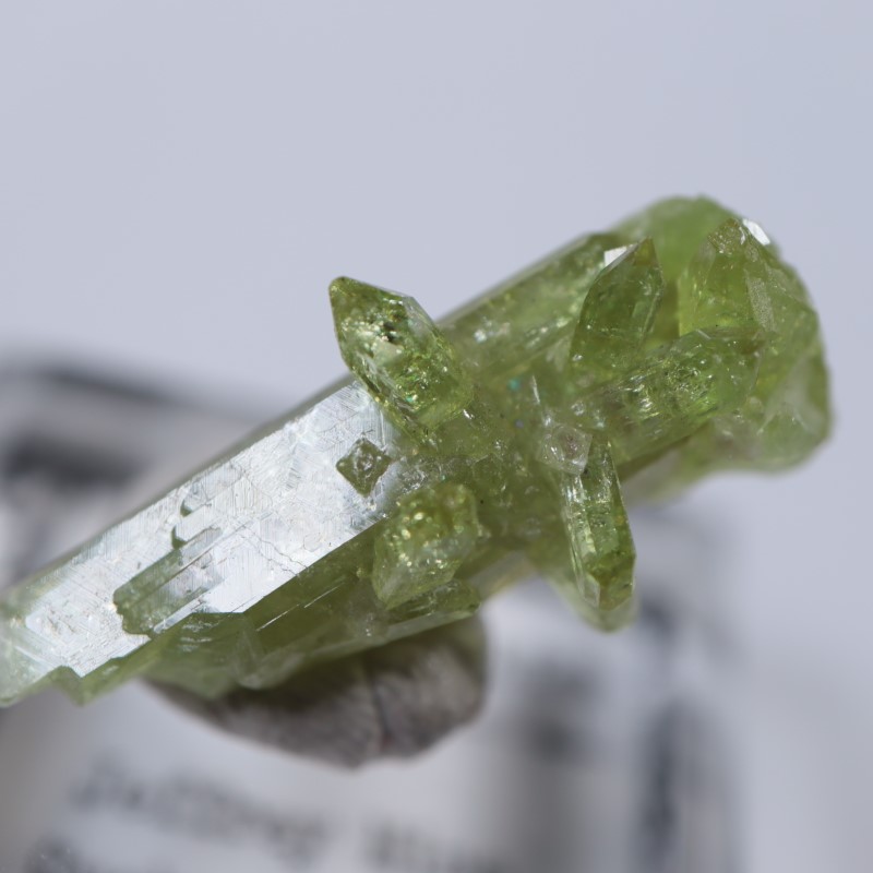 �����ե꡼�ۻ����٥�����