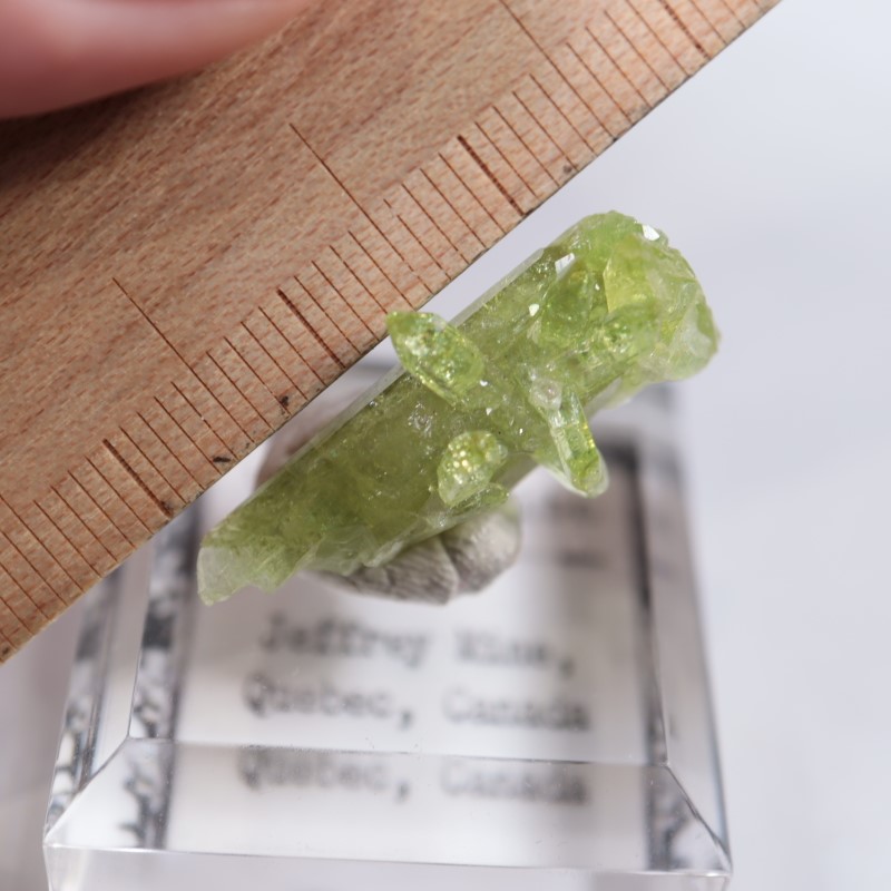 �����ե꡼�ۻ����٥�����