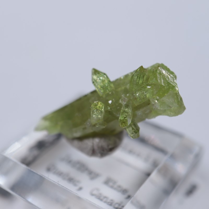 �����ե꡼�ۻ����٥�����