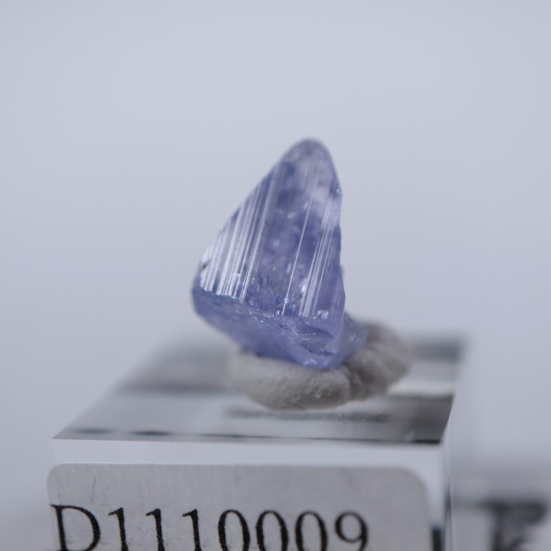 ���󥶥˥��������󥶥ʥ���