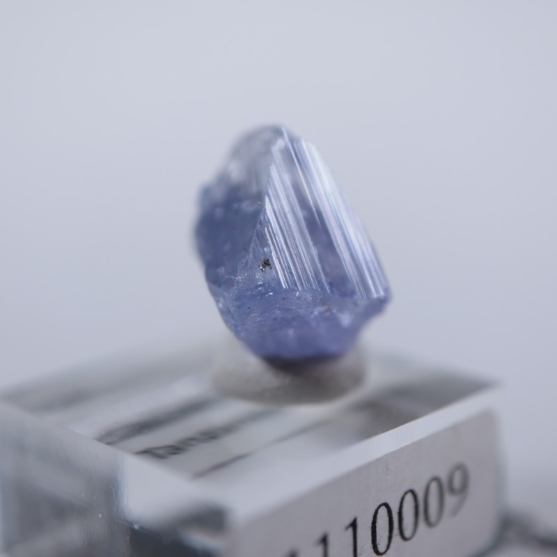 ���󥶥˥��������󥶥ʥ���