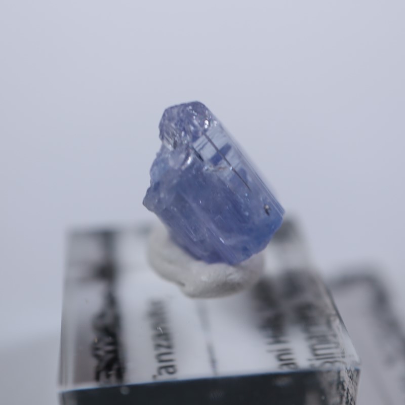 ���󥶥˥��������󥶥ʥ���