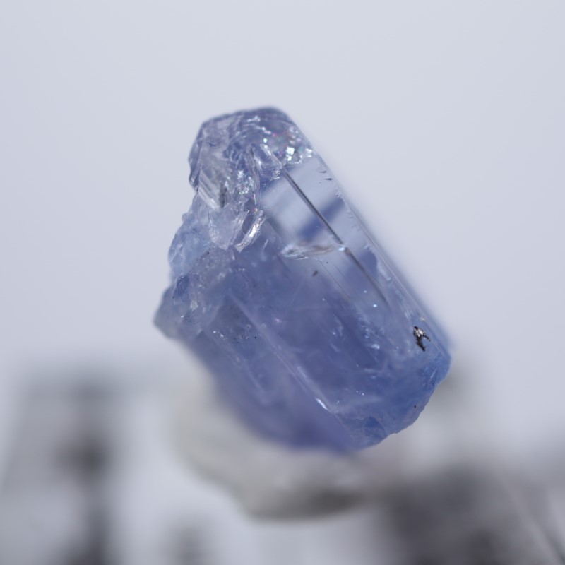 ���󥶥˥��������󥶥ʥ���