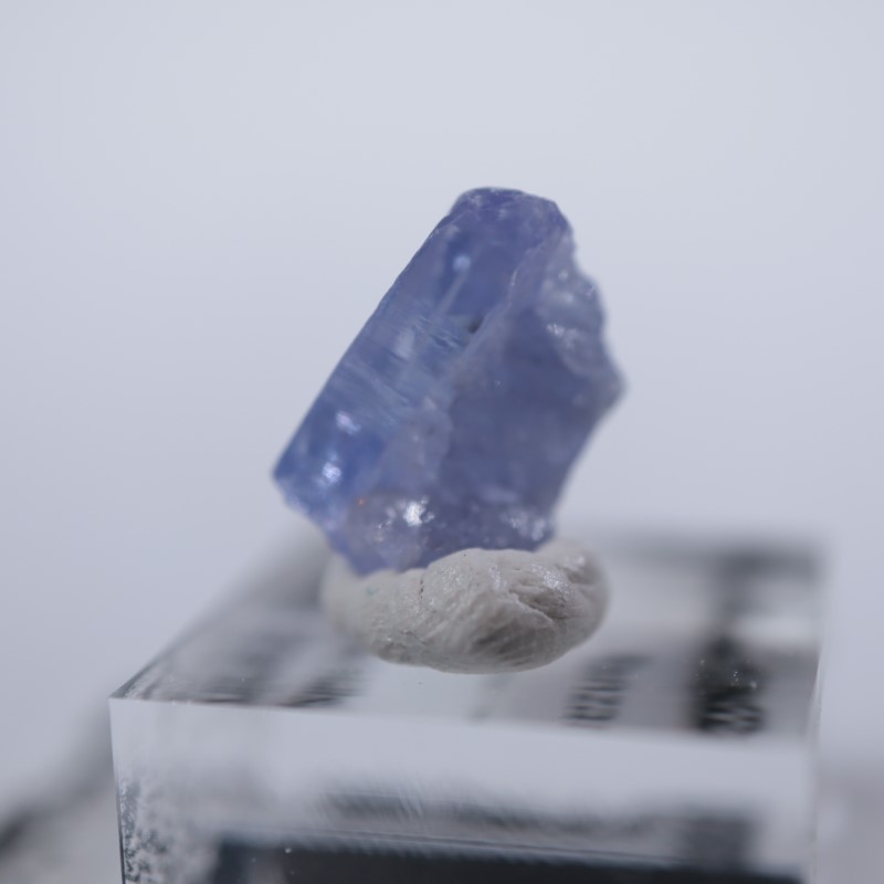 ���󥶥˥��������󥶥ʥ���