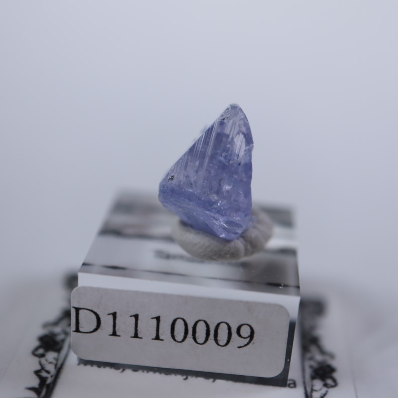 ���󥶥˥��������󥶥ʥ���