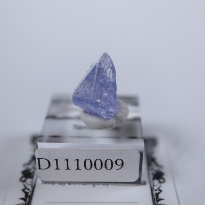 ���󥶥˥��������󥶥ʥ���