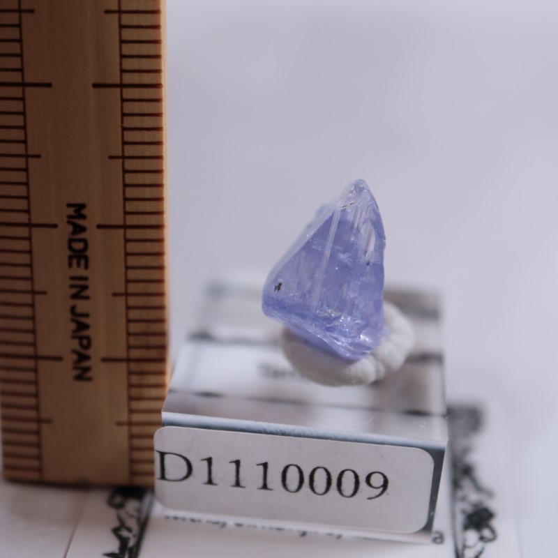 ���󥶥˥��������󥶥ʥ���