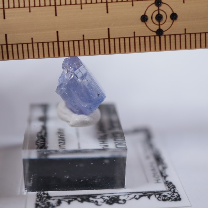 ���󥶥˥��������󥶥ʥ���